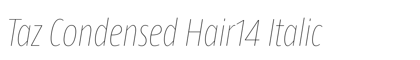 Taz Condensed Hair14 Italic
